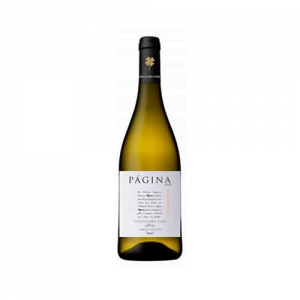 Página Sauvignon Blanc Branco