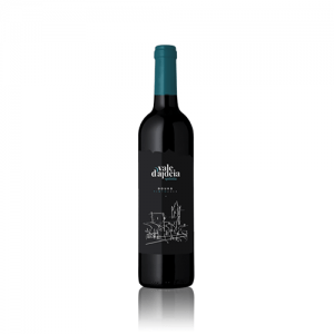 Quinta Vale D'Aldeia Tinto