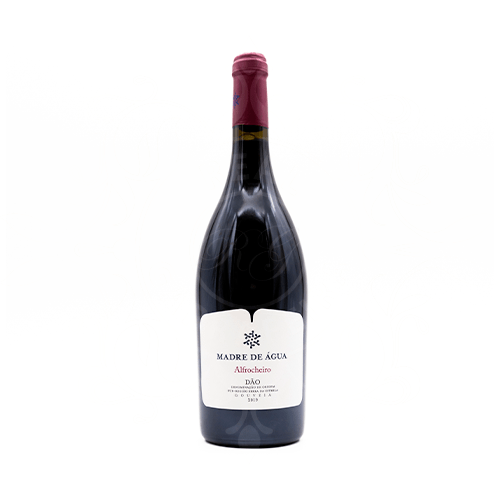 Madre de Água Alfrocheiro