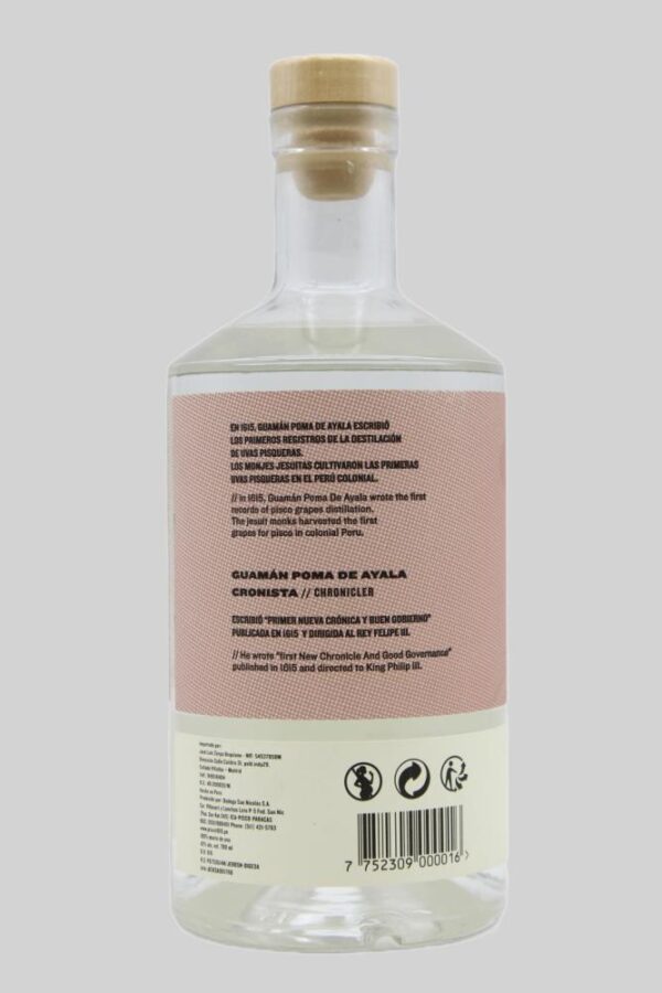 PISCO 1615 ACHOLADO - Image 2
