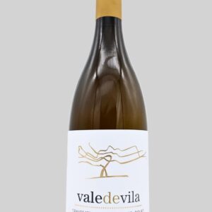 Vale de Vila Grande Reserva Branco