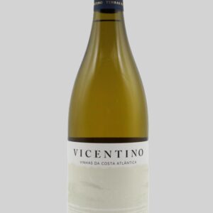 VICENTINO RSV