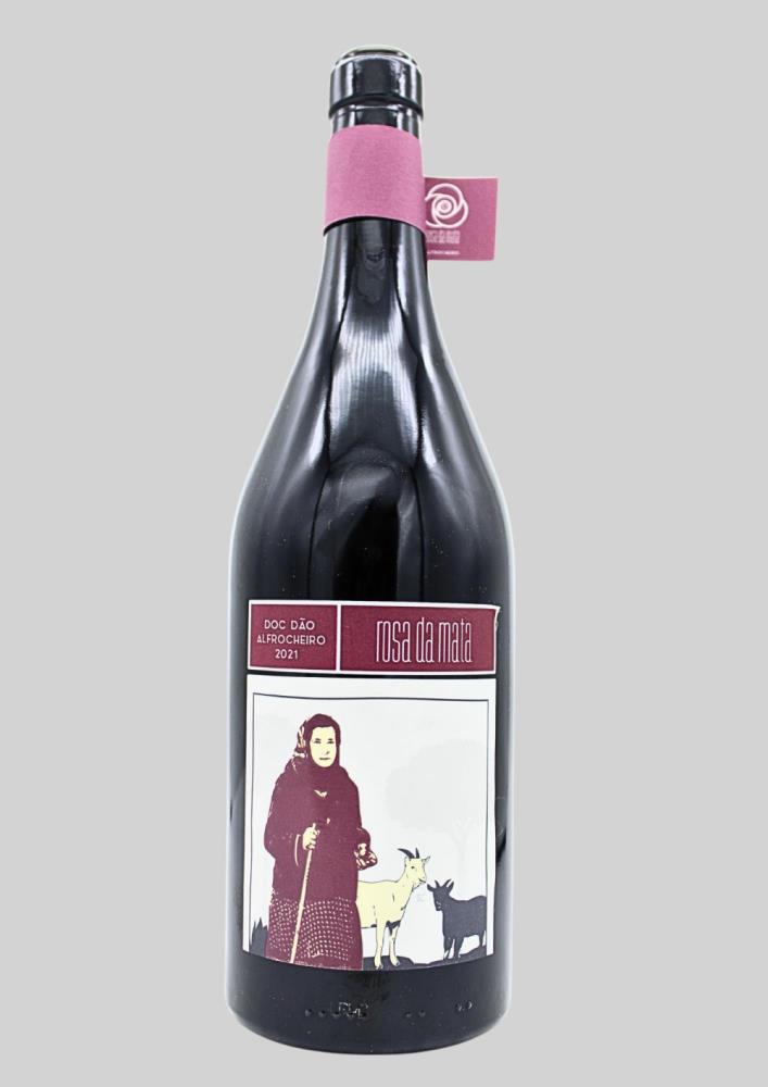 Rosa da Mata Alfrocheiro