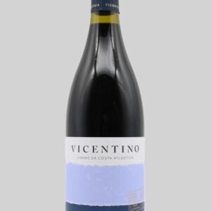 VICENTINO MERLOT
