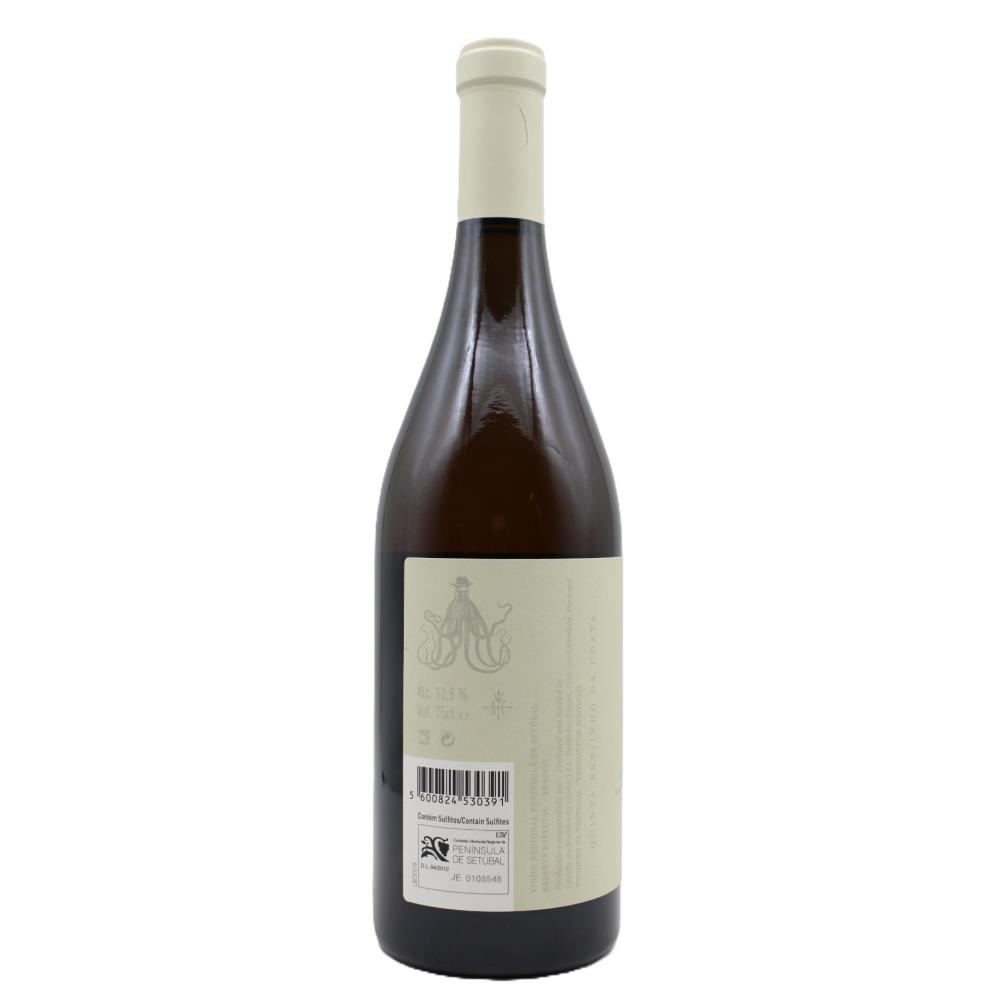 COMENDADOR COSTA BRANCO - Image 2