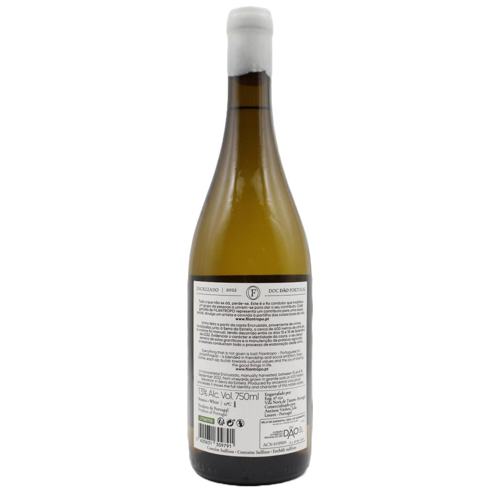 Filantropo Encruzado Branco - Image 2