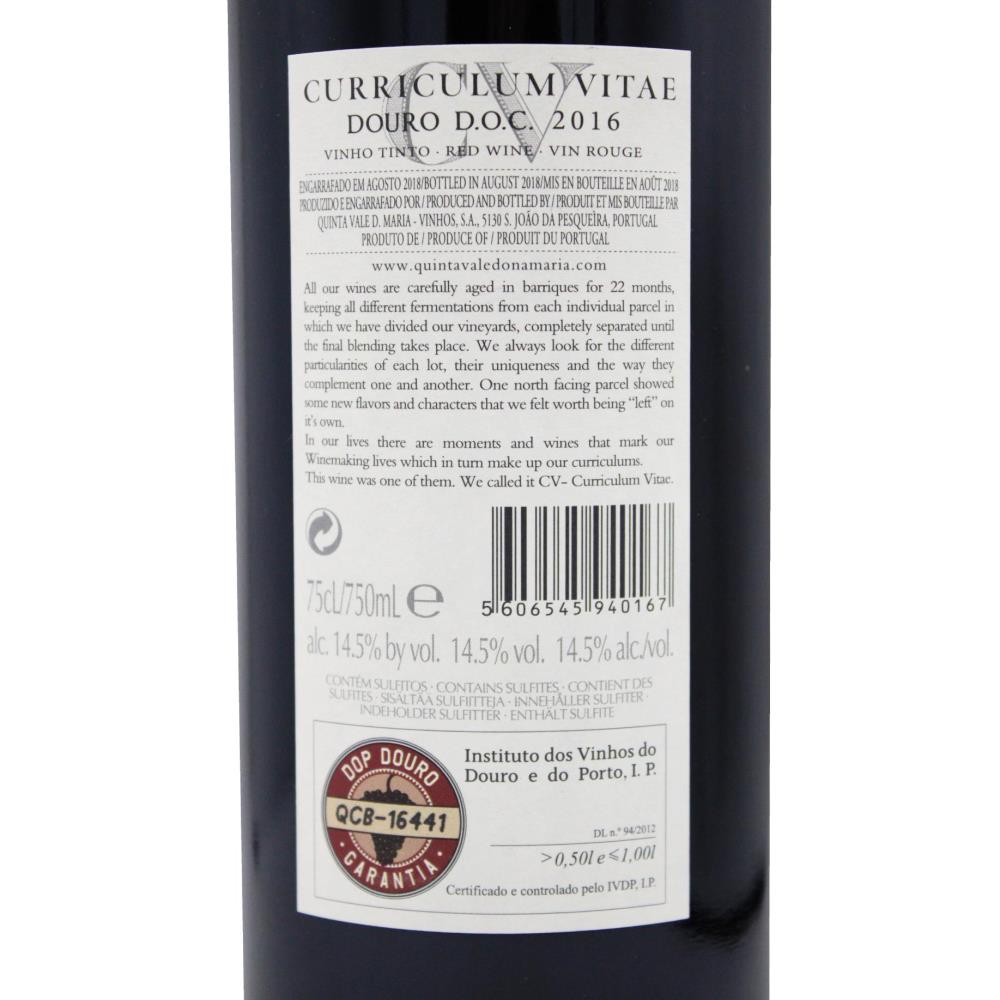 CV Curriculum Vitae Tinto - Image 2