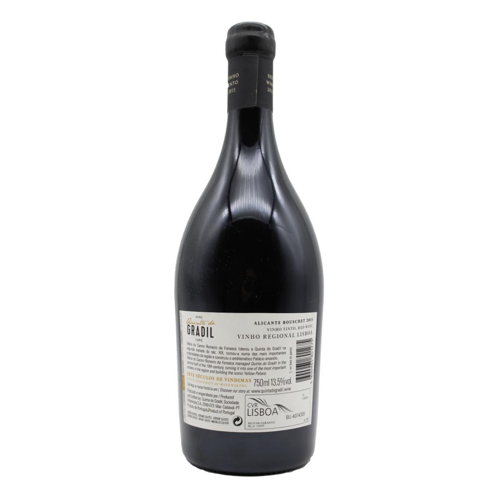 MARIA DO CARMO TINTO - Image 2