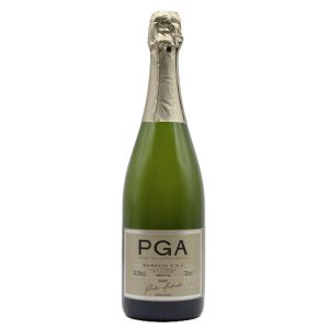 PEDRO GUILHERME BRUTO