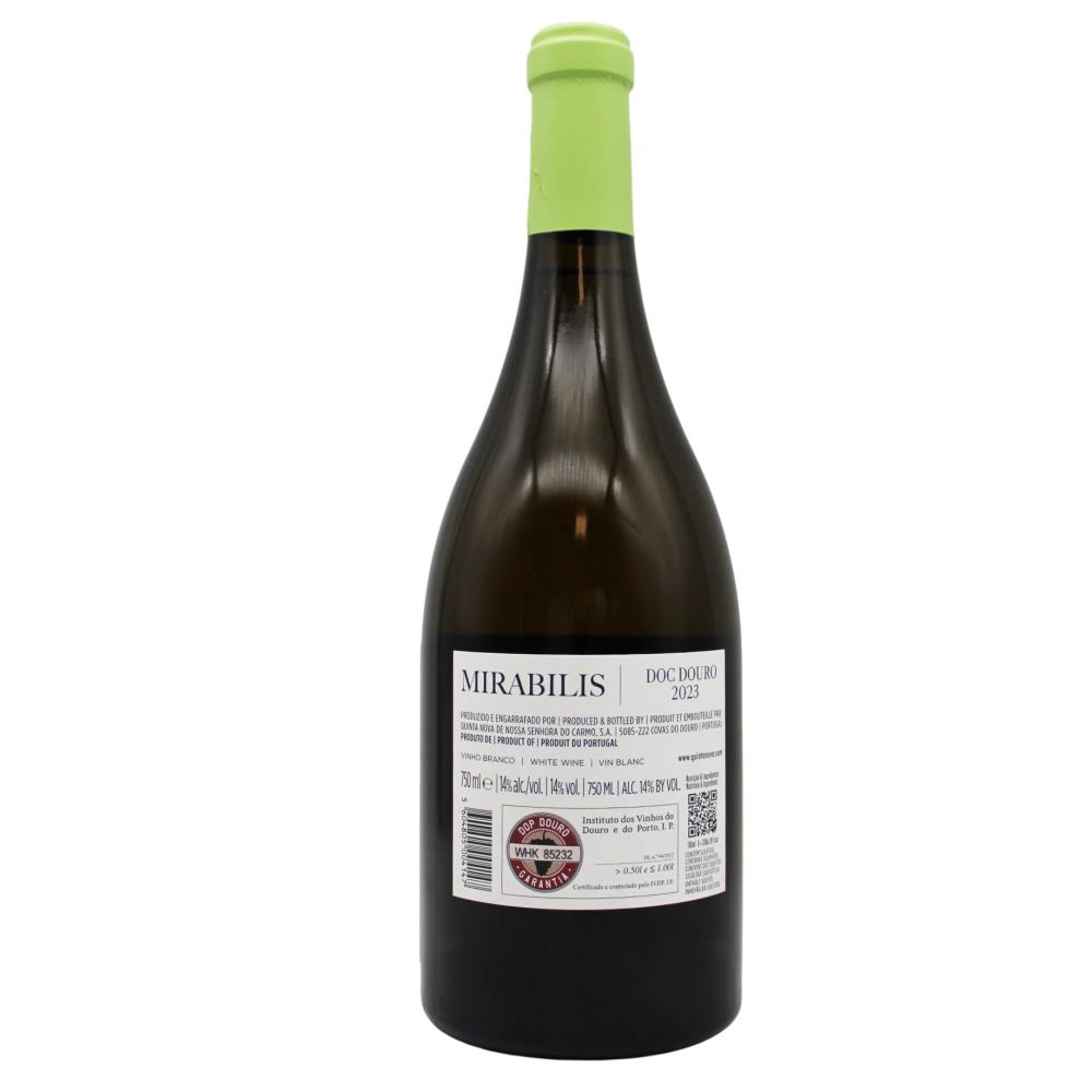 Mirabilis Branco - Image 2
