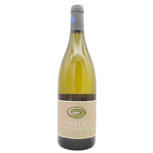 Ninfa Maria Gomes Branco