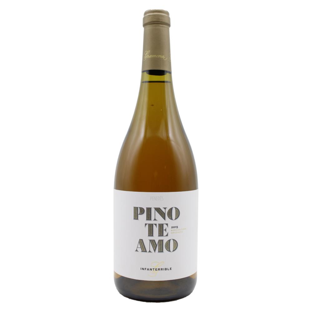 Pinoteamo Gramona Branco