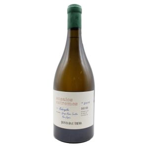 Ensaios Extremos Rabigato Branco