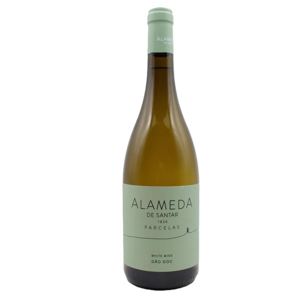 Alameda de Santar Parcelas Branco