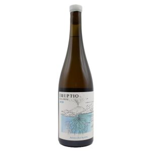 Eruptio Arinto dos Açores Branco