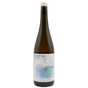 Eruptio Terrantez do Pico Branco