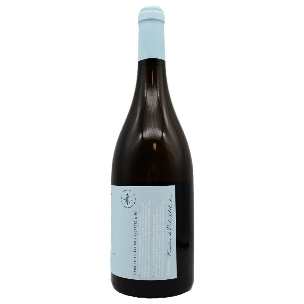 Quinta Brejinho da Costa Semillon Branco - Image 2