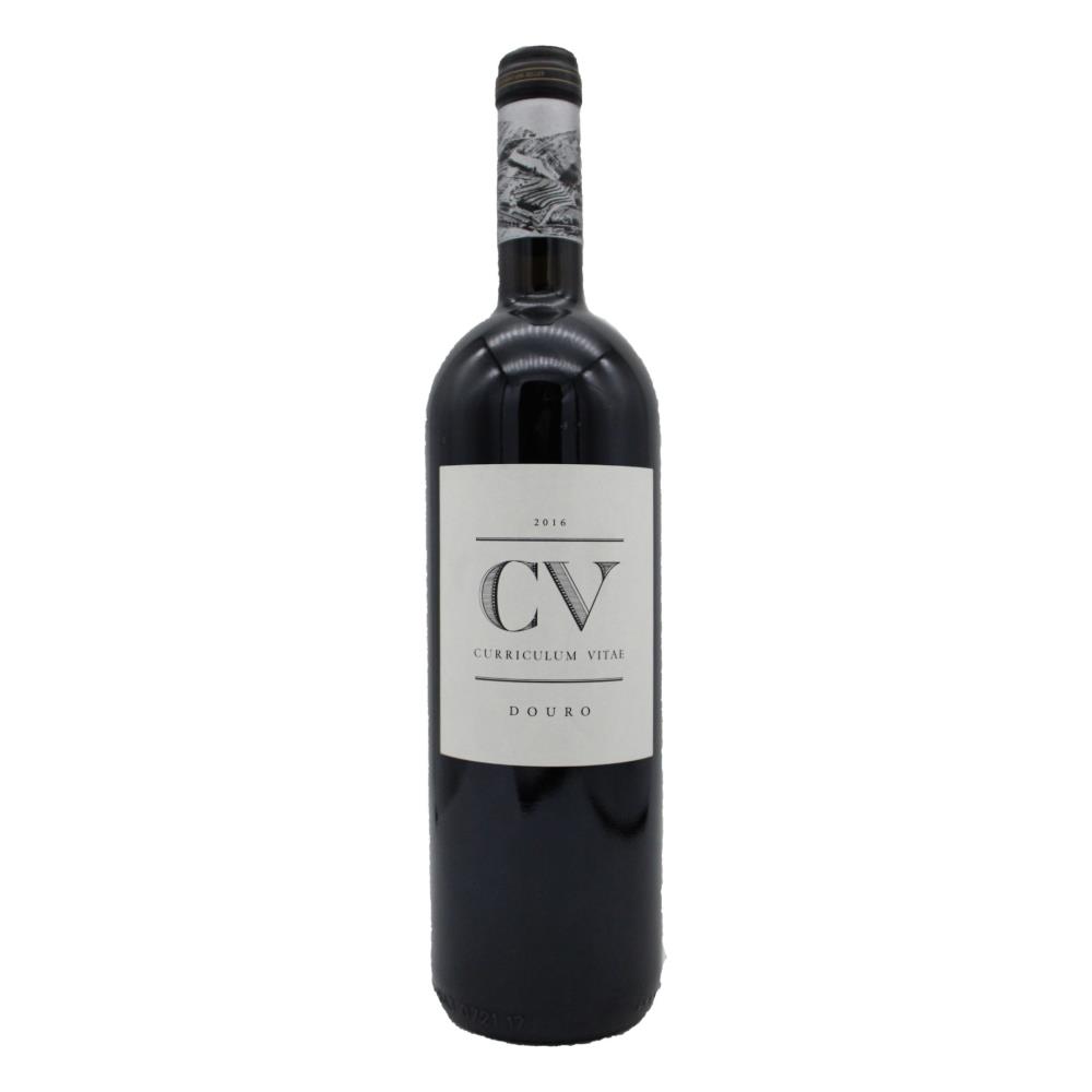 CV Curriculum Vitae Tinto