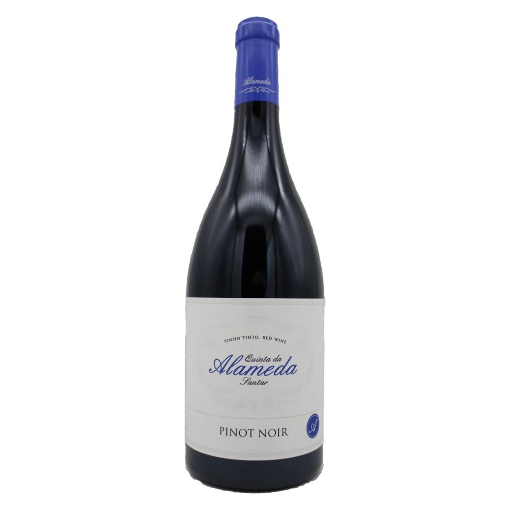 Quinta da Alameda Santar Pinot Noir Tinto