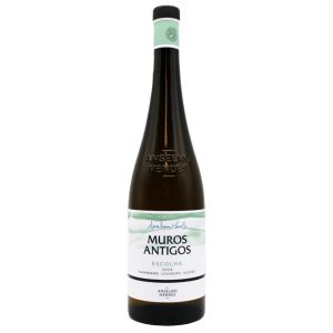 Muros Antigos Escolha Verde Branco