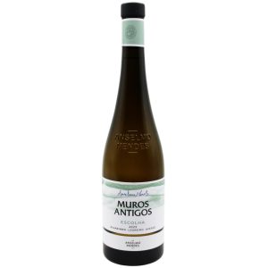 Muros Antigos Escolha Verde Branco